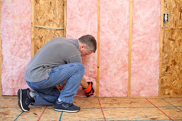 Best Commercial Insulation in Lacy Lakeview, TX